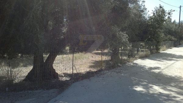 Πωλείται μονοκατοικία στον Κάμπο Αντίσσης Λέσβου.