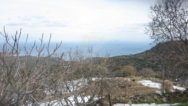 Πωλείται πέτρινη οικία με θέα στη θάλασσα στην Κλειώ Λέσβου.