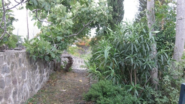 Πωλείται μονοκατοικία στην Μήθυμνα (Μόλυβο) Λέσβου.