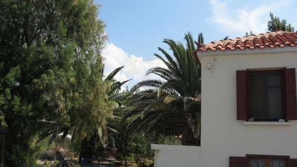 Πωλείται παραθαλάσσια μονοκατοικία στην Πέτρα Λέσβου.