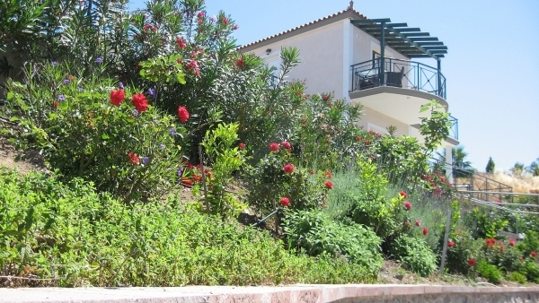 Πωλείται μονοκατοικία στην Άναξο Λέσβου, με θέα την θάλασσα.