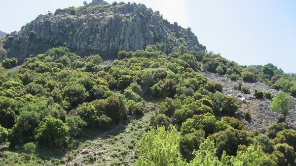 Πωλείται βοσκότοπος στην Μήθυμνα (Μόλυβο) Λέσβου.