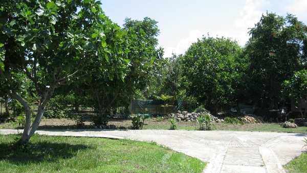 Πωλείται ξενοδοχείο στην Σκάλα Ερεσού Λέσβου. Πωλείται ξενοδοχείο στην Σκάλα Ερεσού Λέσβου.