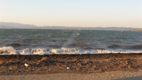 Πωλείται χωράφι στο Λισβόρι Λέσβου.