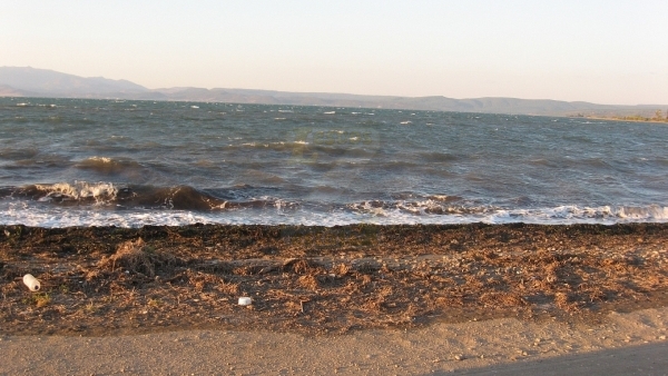 Πωλείται χωράφι στο Λισβόρι Λέσβου.