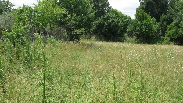Πωλείται οικόπεδο στην Ευρειακή Γέρας Λέσβου. Πωλείται οικόπεδο στην Ευρειακή Γέρας Λέσβου.