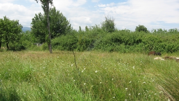 Πωλείται οικόπεδο στην Ευρειακή Γέρας Λέσβου. Πωλείται οικόπεδο στην Ευρειακή Γέρας Λέσβου.
