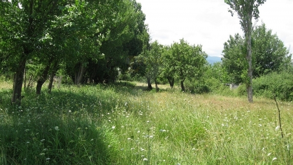 Πωλείται οικόπεδο στην Ευρειακή Γέρας Λέσβου. Πωλείται οικόπεδο στην Ευρειακή Γέρας Λέσβου.