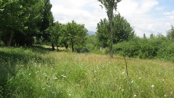 Πωλείται οικόπεδο στην Ευρειακή Γέρας Λέσβου. Πωλείται οικόπεδο στην Ευρειακή Γέρας Λέσβου.