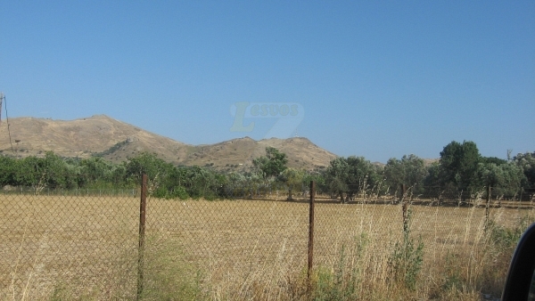 Πωλείται οικόπεδο στην Ερεσό Λέσβου.