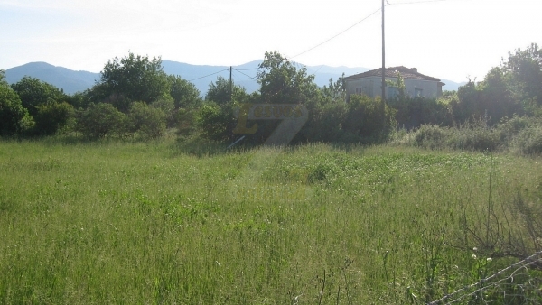 Πωλείται οικόπεδο στην Ευρειακή Γέρας Λέσβου.