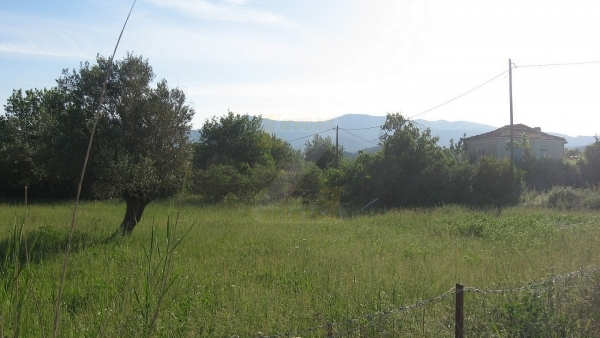 Πωλείται οικόπεδο στην Ευρειακή Γέρας Λέσβου.