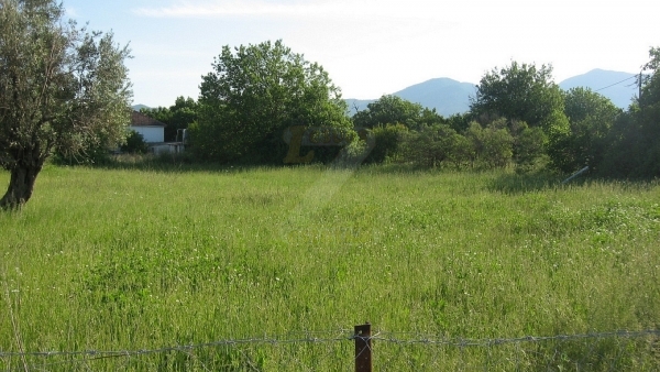 Πωλείται οικόπεδο στην Ευρειακή Γέρας Λέσβου.