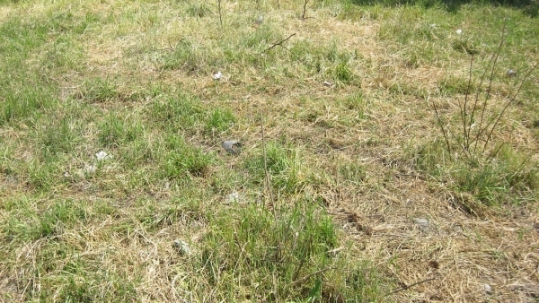 Πωλείται οικόπεδο στην Καλλονή Λέσβου.