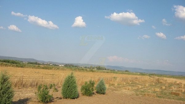 Πωλείται οικόπεδο στην Καλλονή Λέσβου.