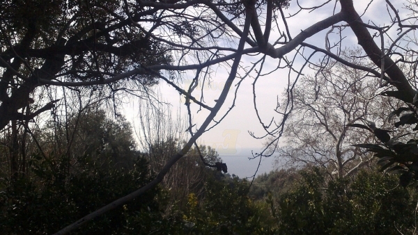 Πωλείται οικόπεδο στο Κάτω Χωριό, Πλωμαρίου Λέσβου.