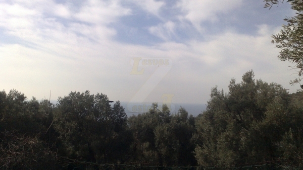 Πωλείται οικόπεδο στο Κάτω Χωριό, Πλωμαρίου Λέσβου.