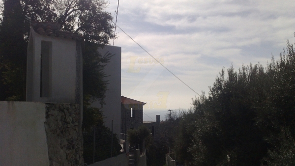 Πωλείται οικόπεδο στο Κάτω Χωριό, Πλωμαρίου Λέσβου.