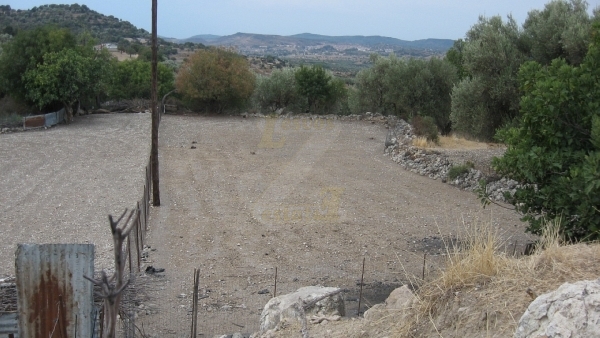 Πωλείται οικόπεδο στο Λισβόρι Λέσβου, σε τιμή ευκαιρίας! Πωλείται οικόπεδο στο Λισβόρι Λέσβου, σε τιμή ευκαιρίας!