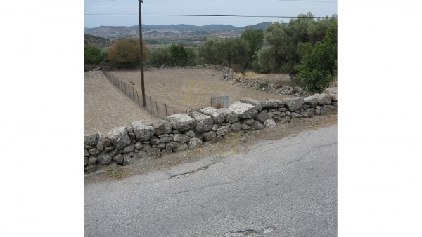 Πωλείται οικόπεδο στο Λισβόρι Λέσβου, σε τιμή ευκαιρίας! Πωλείται οικόπεδο στο Λισβόρι Λέσβου, σε τιμή ευκαιρίας!