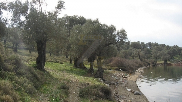 Πωλείται οικόπεδο στα Λουτρά Λέσβου.