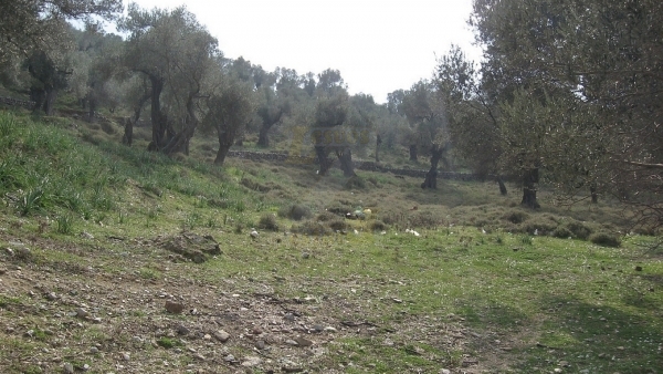 Πωλείται οικόπεδο στα Λουτρά Λέσβου.