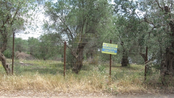Πωλείται οικόπεδο στον Παππάδο Γέρας Λέσβου. Πωλείται οικόπεδο στον Παππάδο Γέρας Λέσβου.