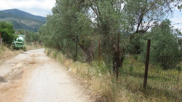 Πωλείται οικόπεδο στον Παππάδο Γέρας Λέσβου. Πωλείται οικόπεδο στον Παππάδο Γέρας Λέσβου.