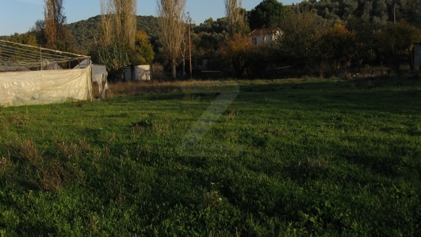 Πωλείται οικόπεδο στο Πέραμα Λέσβου.