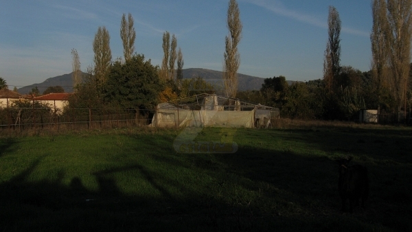 Πωλείται οικόπεδο στο Πέραμα Λέσβου.