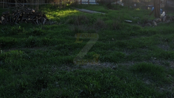 Πωλείται οικόπεδο στο Πέραμα Λέσβου.