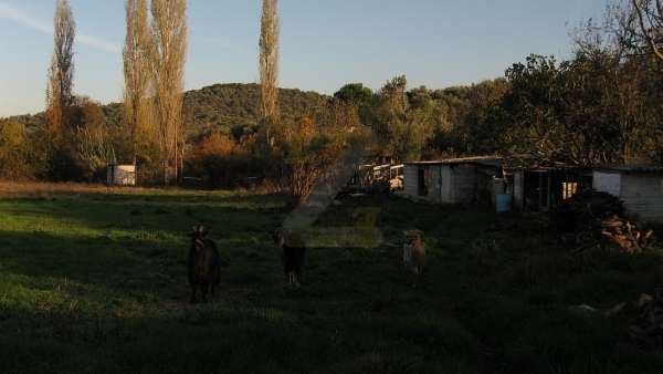 Πωλείται οικόπεδο στο Πέραμα Λέσβου.