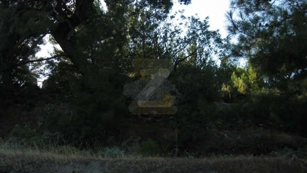 Πωλείται οικόπεδο στο Μεγαλοχώρι Λέσβου.