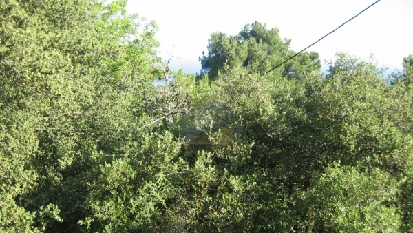 Πωλείται οικόπεδο στο Μεγαλοχώρι Λέσβου.