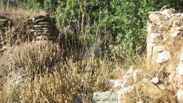 Πωλείται οικόπεδο στο Μεγαλοχώρι Λέσβου.