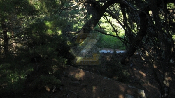 Πωλείται οικόπεδο στο Μεγαλοχώρι Λέσβου.