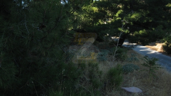 Πωλείται οικόπεδο στο Μεγαλοχώρι Λέσβου.