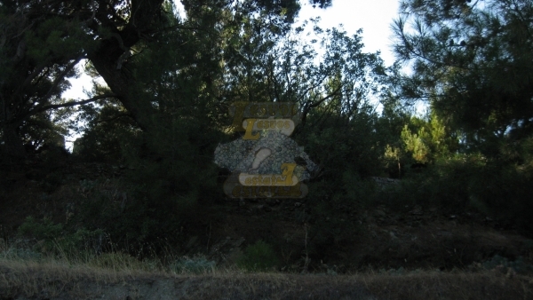 Πωλείται οικόπεδο στο Μεγαλοχώρι Λέσβου.