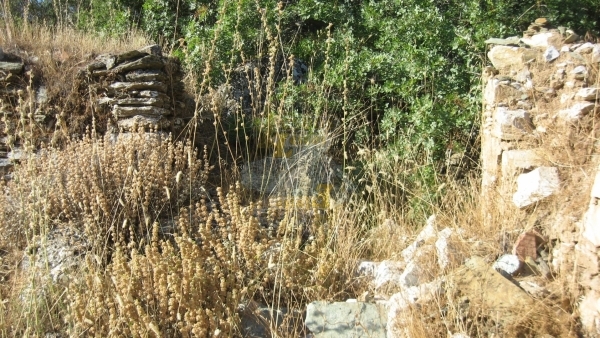 Πωλείται οικόπεδο στο Μεγαλοχώρι Λέσβου.