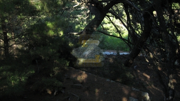 Πωλείται οικόπεδο στο Μεγαλοχώρι Λέσβου.