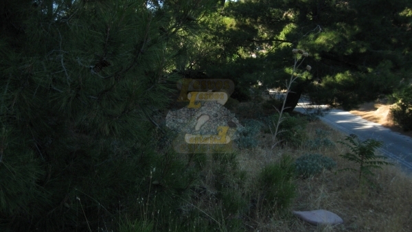 Πωλείται οικόπεδο στο Μεγαλοχώρι Λέσβου.