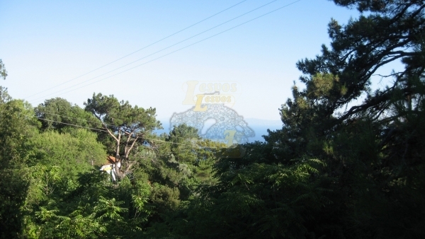 Πωλείται οικόπεδο στο Μεγαλοχώρι Λέσβου.