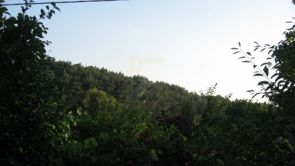 Πωλείται μονοκατοικία στο Μεγαλοχώρι Λέσβου.