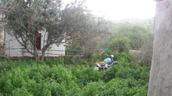 Πωλείται παλαιά μονοκατοικία στην Ερεσό Λέσβου. Πωλείται παλαιά μονοκατοικία στην Ερεσό Λέσβου.