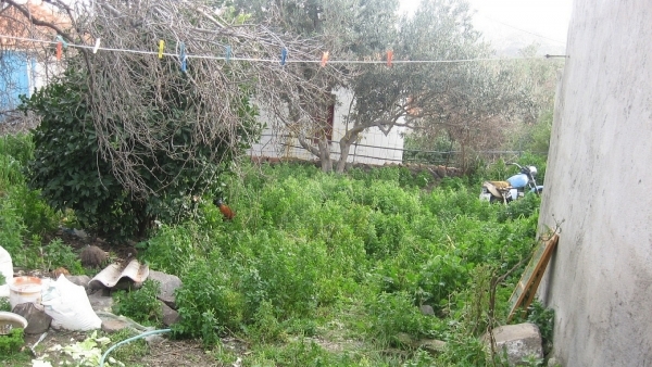 Πωλείται παλαιά μονοκατοικία στην Ερεσό Λέσβου. Πωλείται παλαιά μονοκατοικία στην Ερεσό Λέσβου.